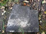image of grave number 484451